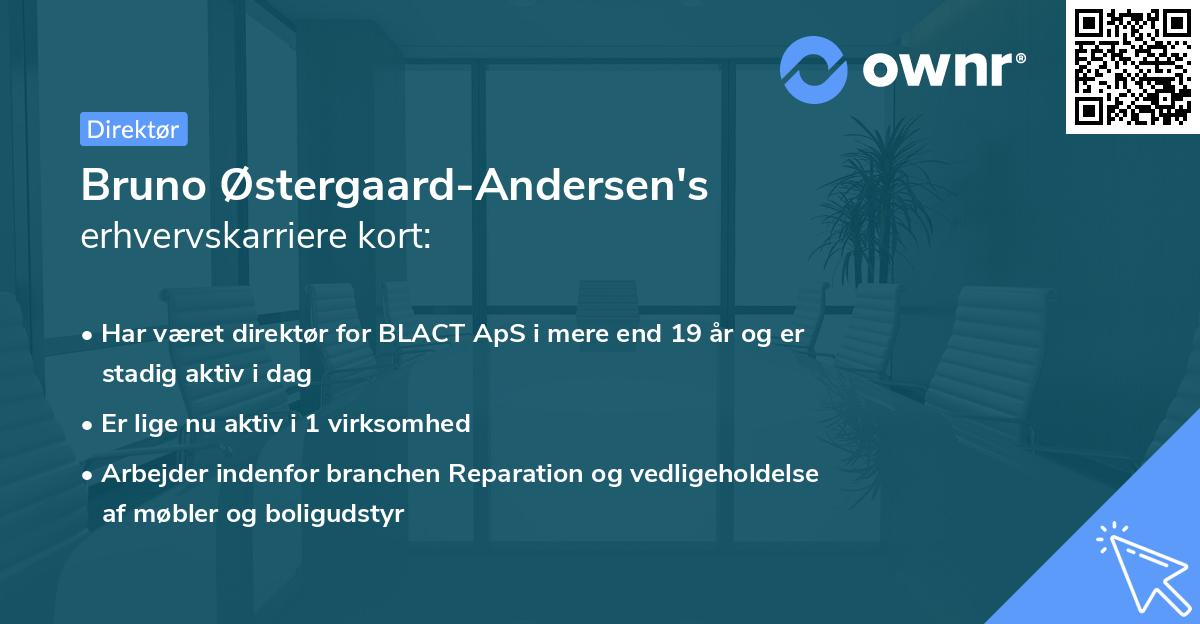 Bruno Østergaard-Andersen's erhvervskarriere kort