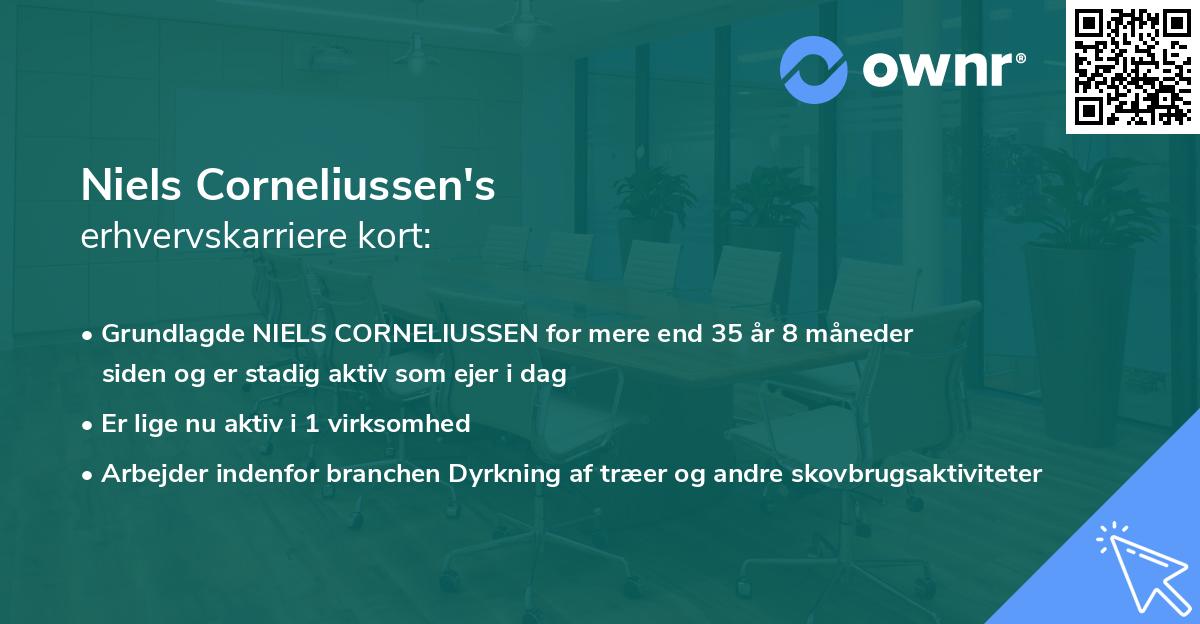 Niels Corneliussen's erhvervskarriere kort