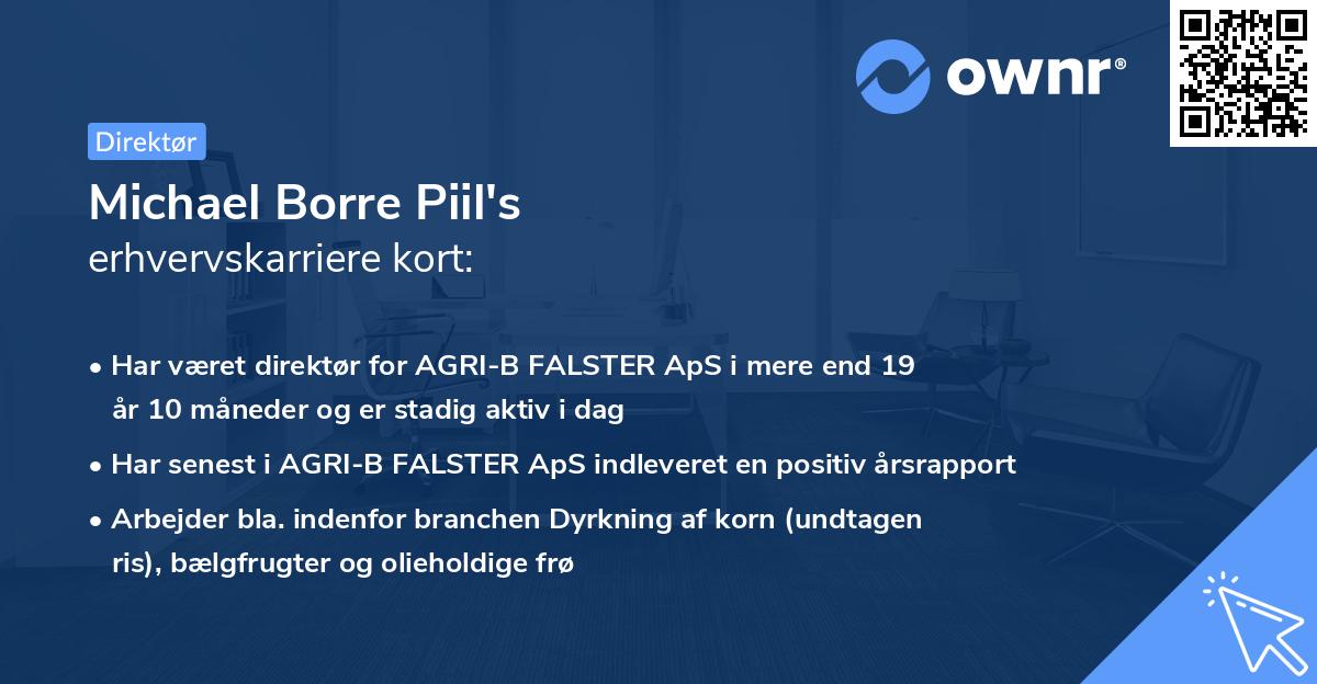 Michael Borre Piil's erhvervskarriere kort