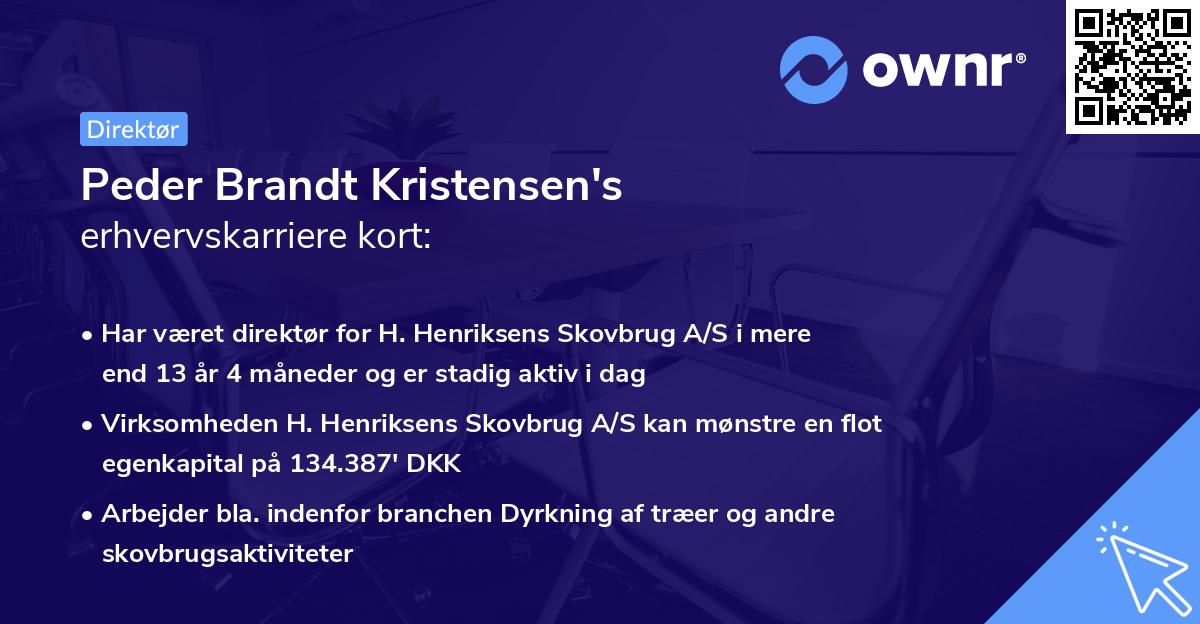 Peder Brandt Kristensen's erhvervskarriere kort