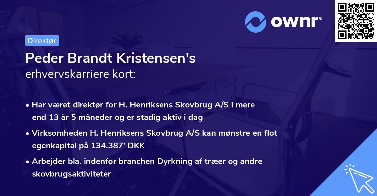Peder Brandt Kristensen's erhvervskarriere kort