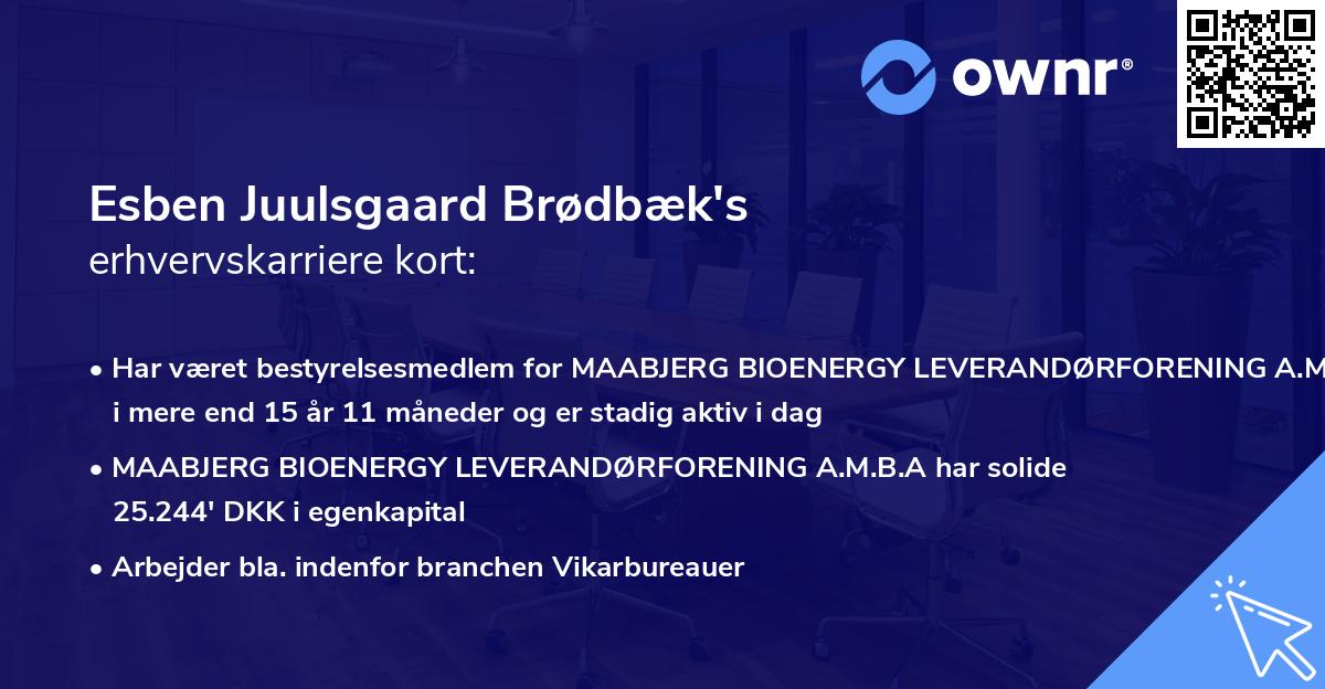 Esben Juulsgaard Brødbæk's erhvervskarriere kort