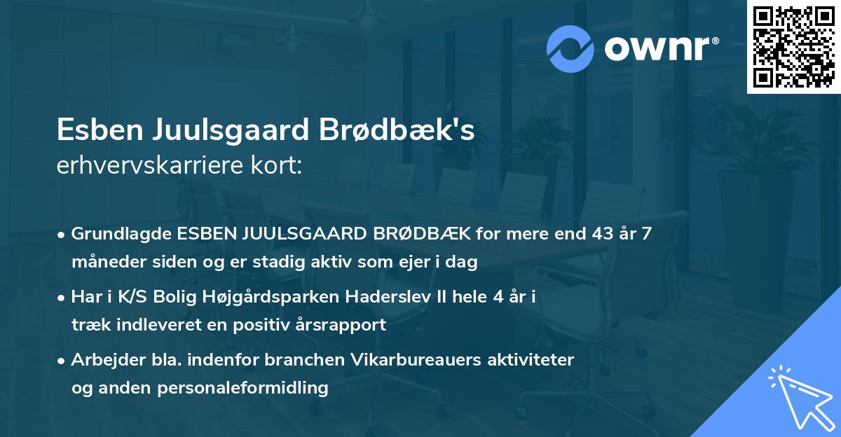 Esben Juulsgaard Brødbæk's erhvervskarriere kort