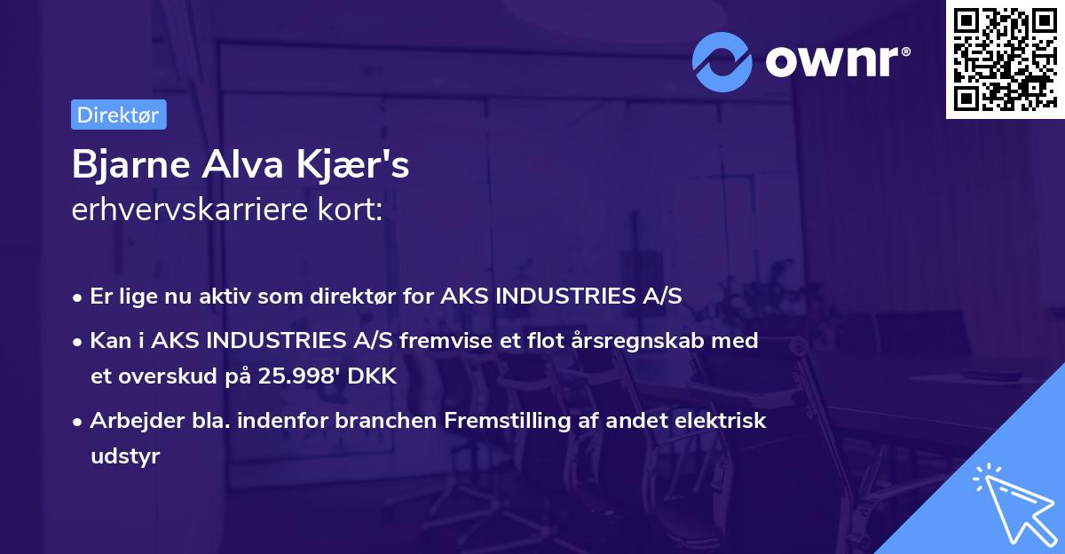 Bjarne Alva Kjær's erhvervskarriere kort
