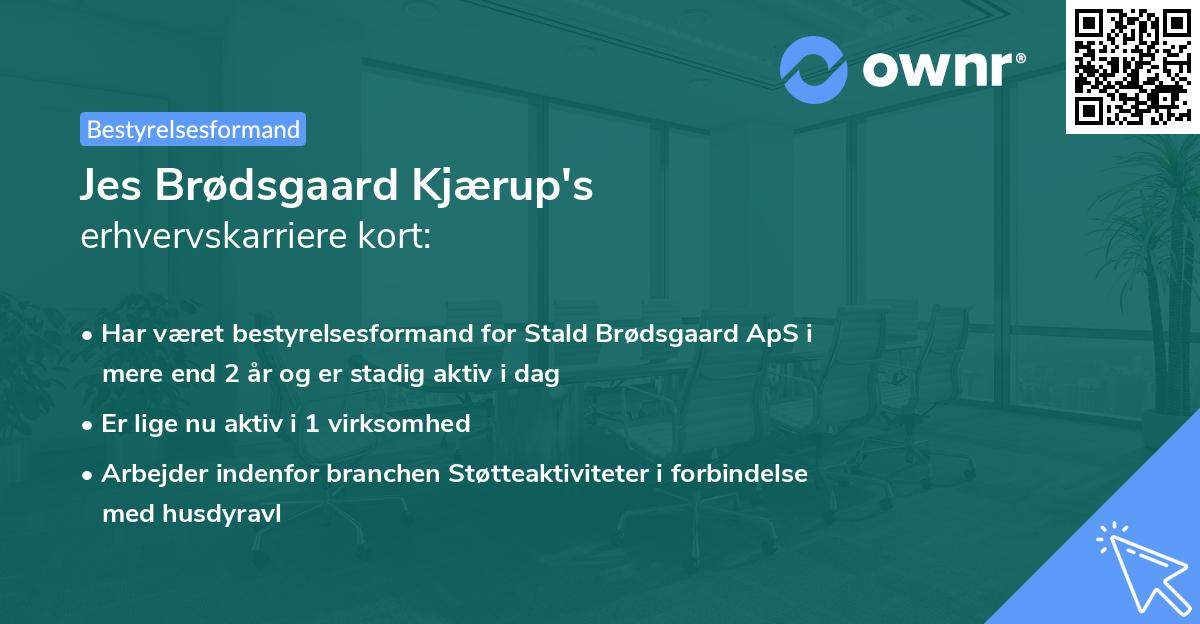 Jes Brødsgaard Kjærup's erhvervskarriere kort