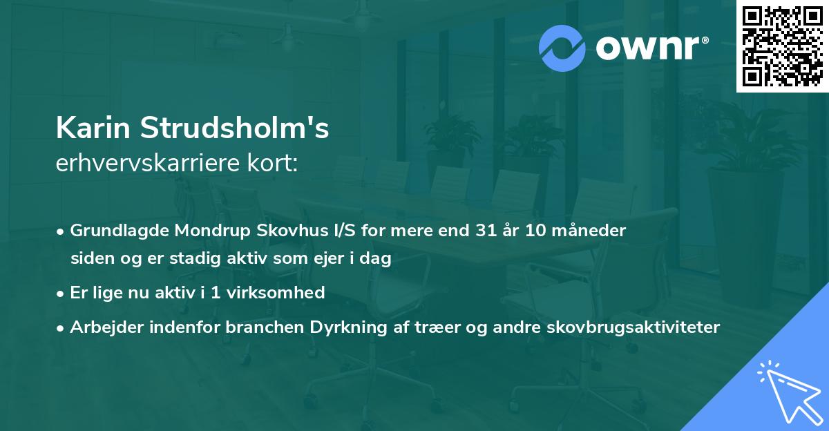 Karin Strudsholm's erhvervskarriere kort