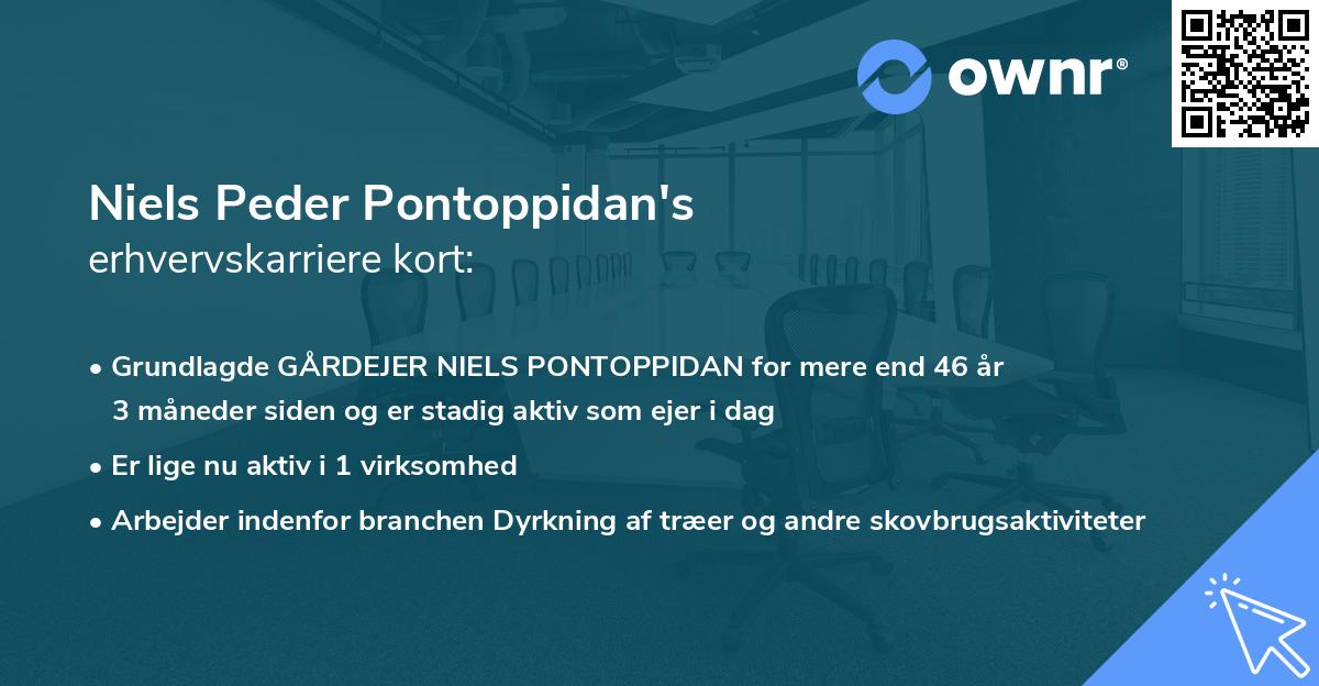Niels Peder Pontoppidan's erhvervskarriere kort