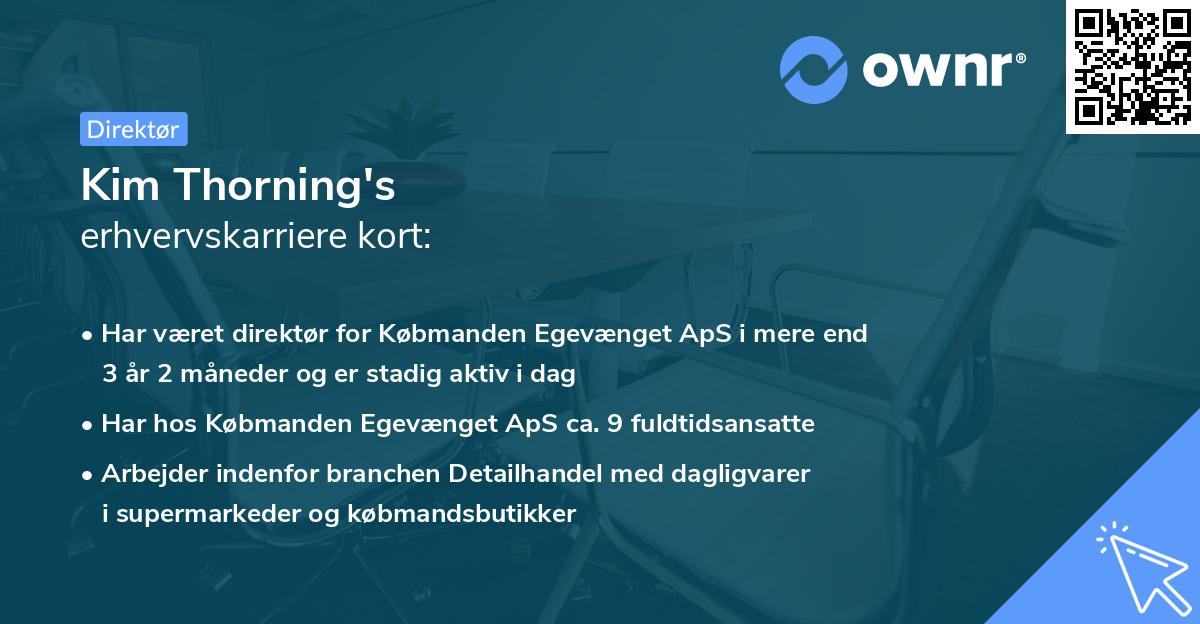 Kim Thorning's erhvervskarriere kort