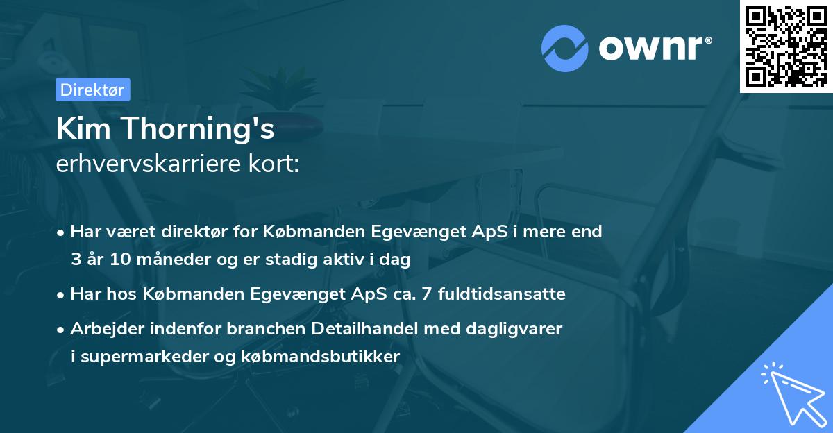Kim Thorning's erhvervskarriere kort