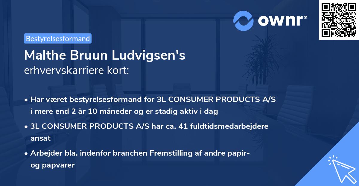 Malthe Bruun Ludvigsen's erhvervskarriere kort