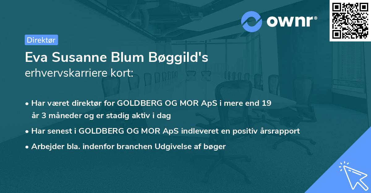 Eva Susanne Blum Bøggild's erhvervskarriere kort