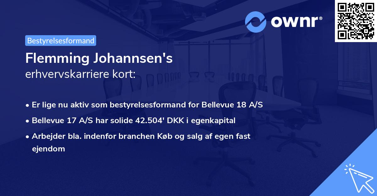 Flemming Johannsen's erhvervskarriere kort