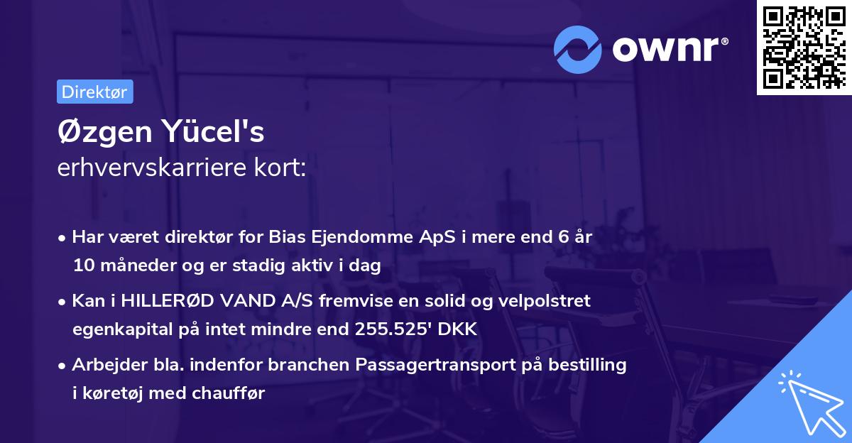 Øzgen Yücel's erhvervskarriere kort