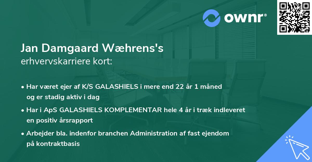Jan Damgaard Wæhrens's erhvervskarriere kort