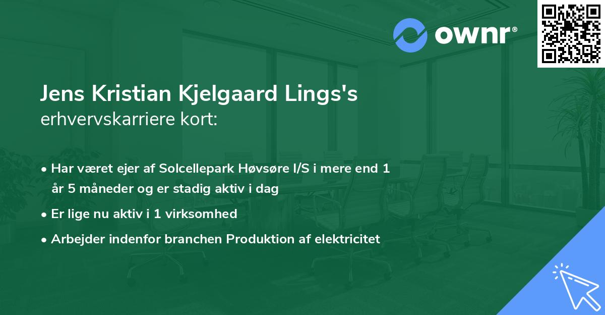 Jens Kristian Kjelgaard Lings's erhvervskarriere kort