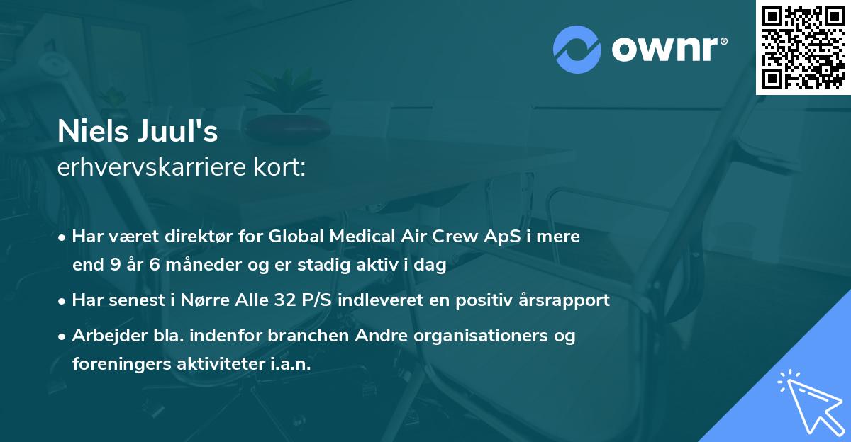 Niels Juul's erhvervskarriere kort