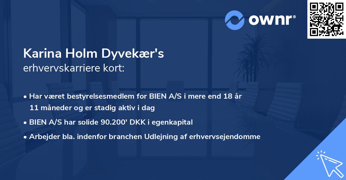 Karina Holm Dyvekær's erhvervskarriere kort
