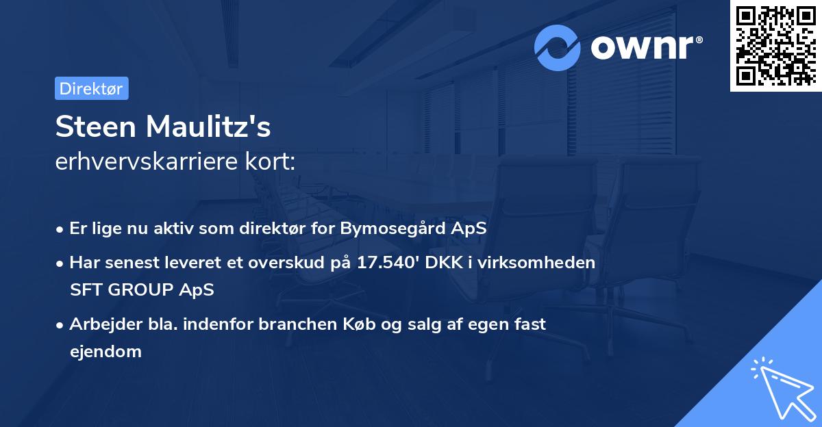 Steen Maulitz's erhvervskarriere kort