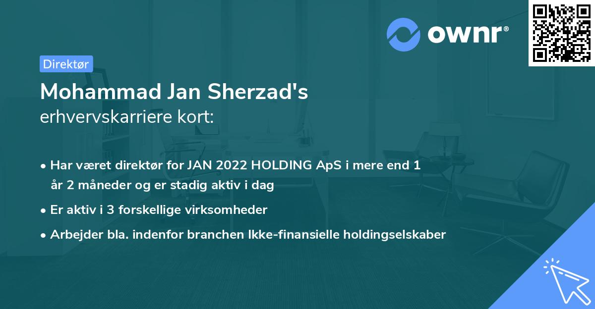 Mohammad Jan Sherzad's erhvervskarriere kort
