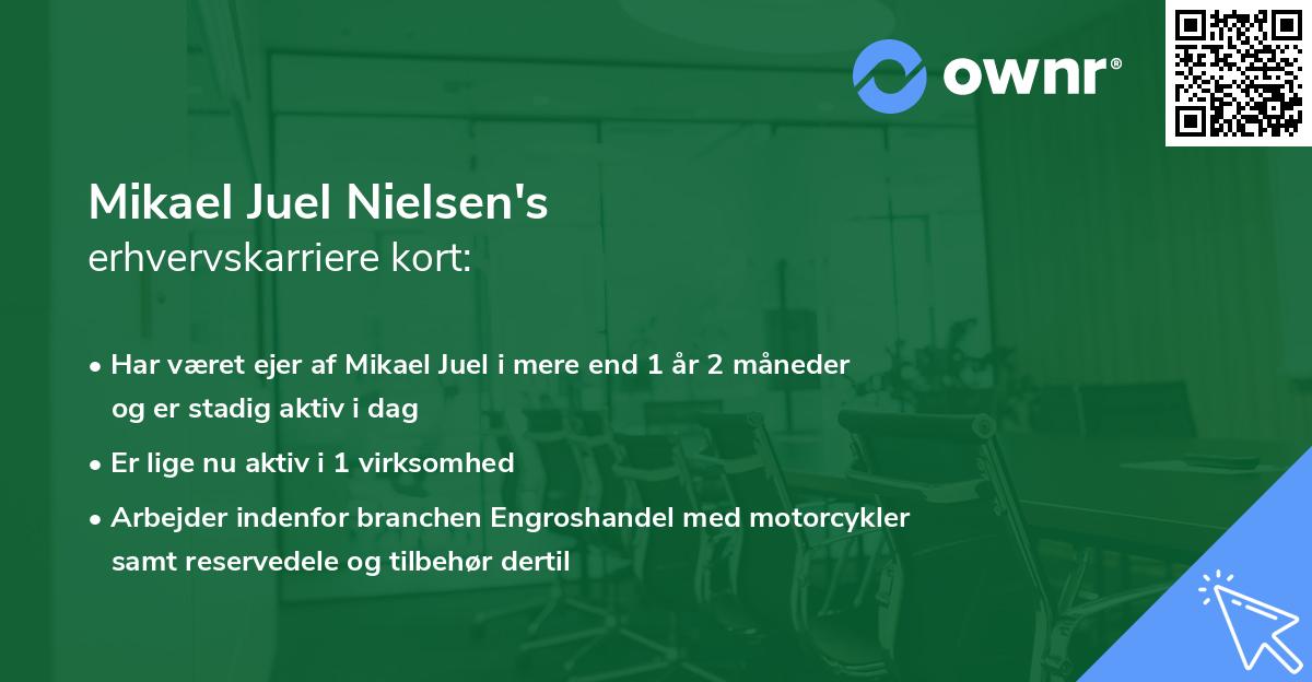 Mikael Juel Nielsen's erhvervskarriere kort
