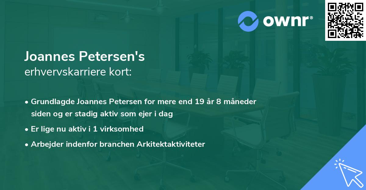 Joannes Petersen's erhvervskarriere kort