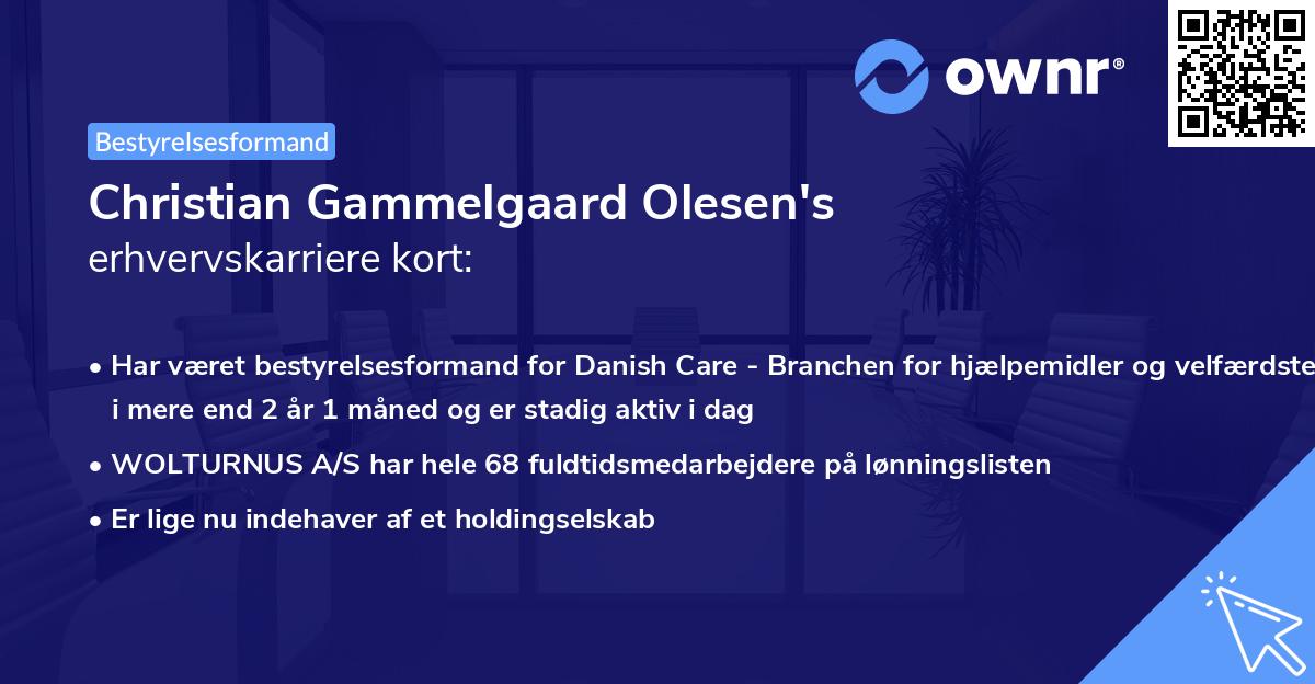 Christian Gammelgaard Olesen's erhvervskarriere kort