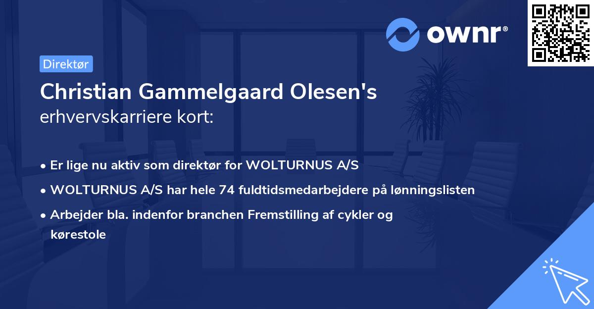 Christian Gammelgaard Olesen's erhvervskarriere kort