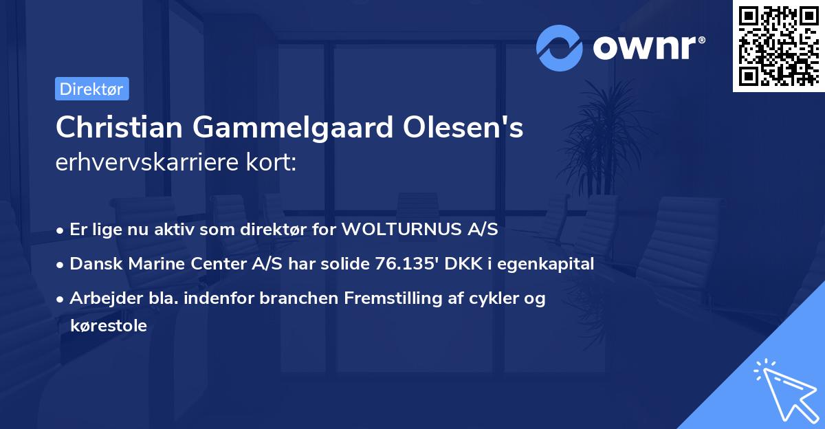 Christian Gammelgaard Olesen's erhvervskarriere kort