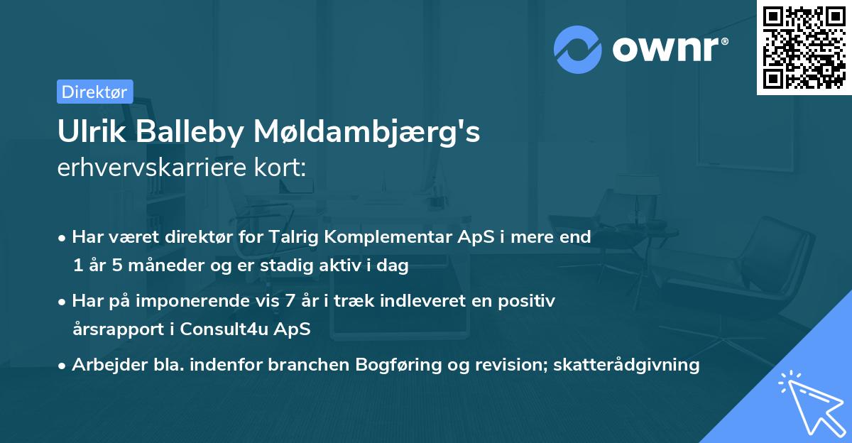 Ulrik Balleby Møldambjærg's erhvervskarriere kort
