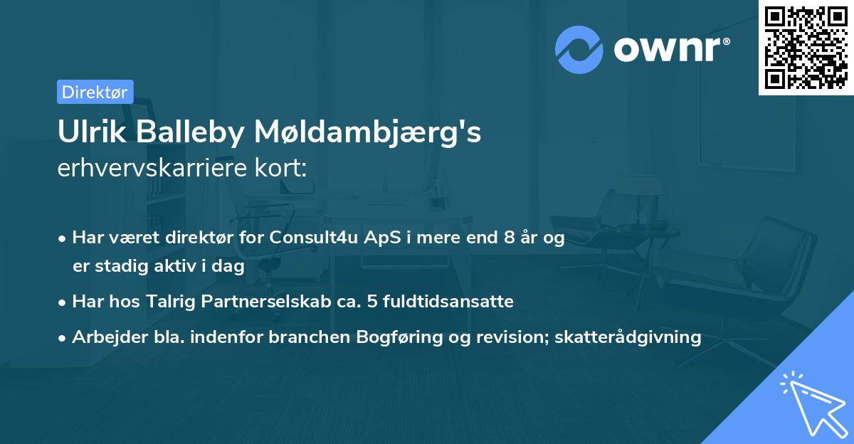 Ulrik Balleby Møldambjærg's erhvervskarriere kort