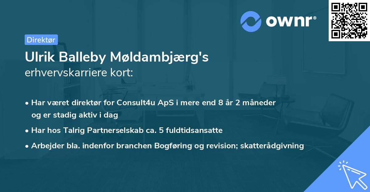 Ulrik Balleby Møldambjærg's erhvervskarriere kort