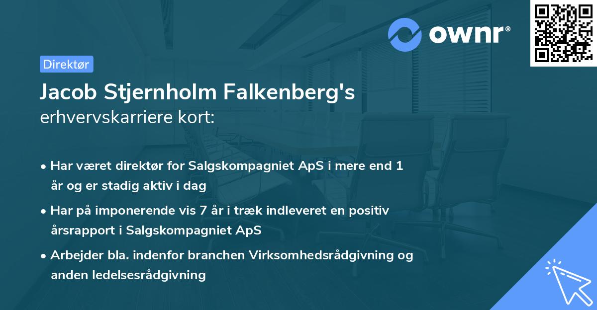 Jacob Stjernholm Falkenberg's erhvervskarriere kort
