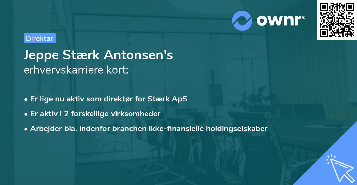 Jeppe Stærk Antonsen's erhvervskarriere kort