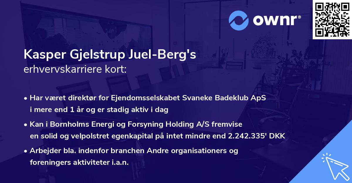 Kasper Gjelstrup Juel-Berg's erhvervskarriere kort