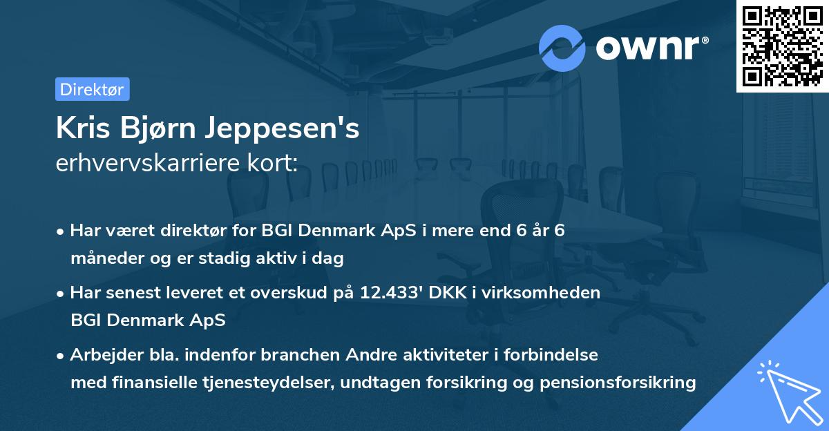 Kris Bjørn Jeppesen's erhvervskarriere kort