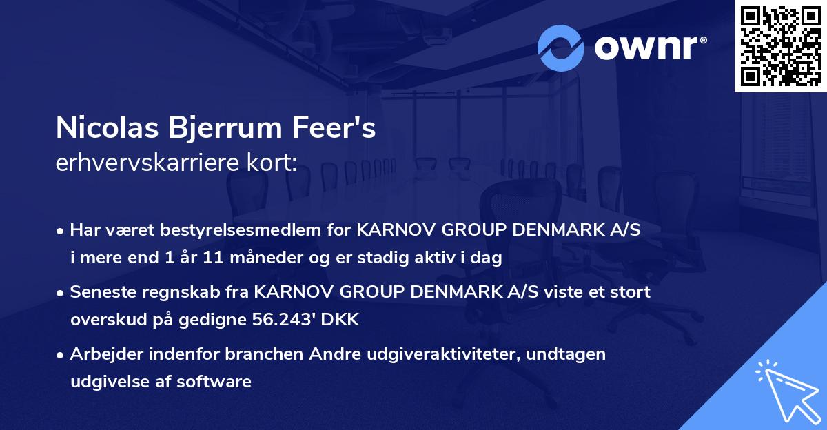 Nicolas Bjerrum Feer's erhvervskarriere kort