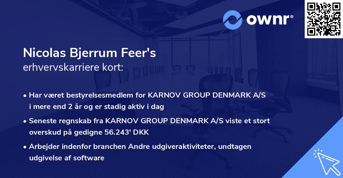 Nicolas Bjerrum Feer's erhvervskarriere kort