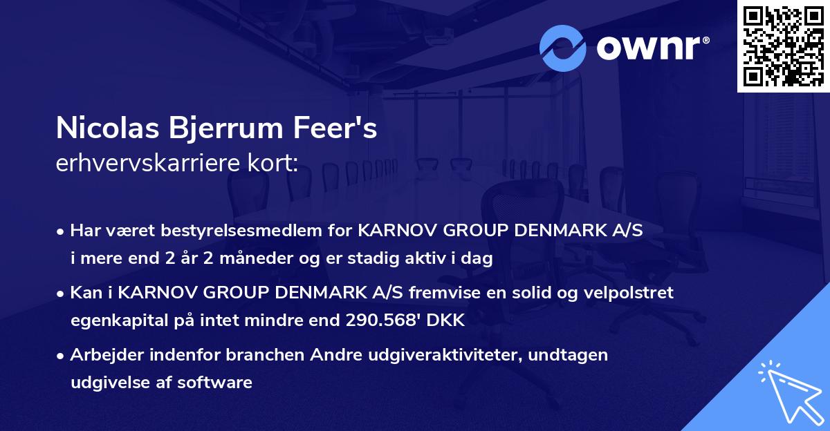 Nicolas Bjerrum Feer's erhvervskarriere kort