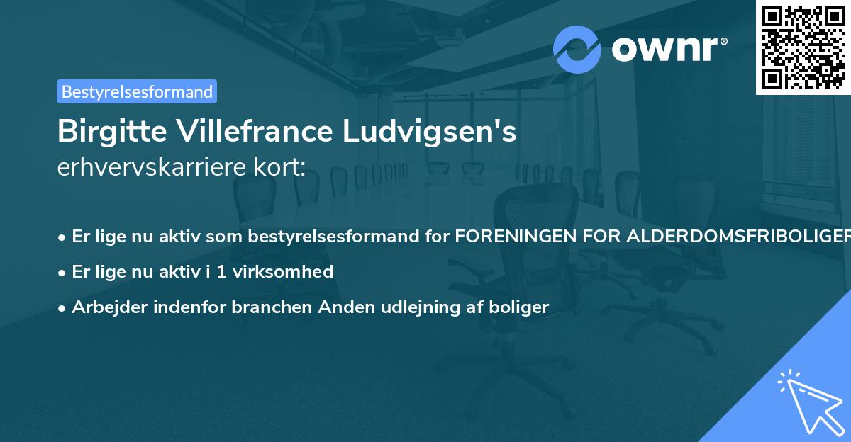 Birgitte Villefrance Ludvigsen's erhvervskarriere kort