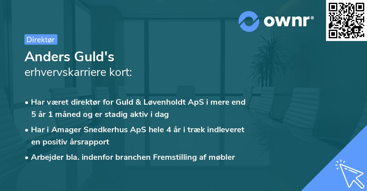 Anders Guld's erhvervskarriere kort