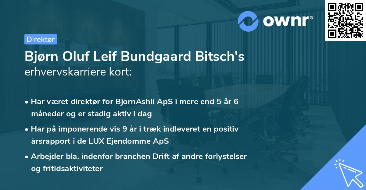 Bjørn Oluf Leif Bundgaard Bitsch's erhvervskarriere kort