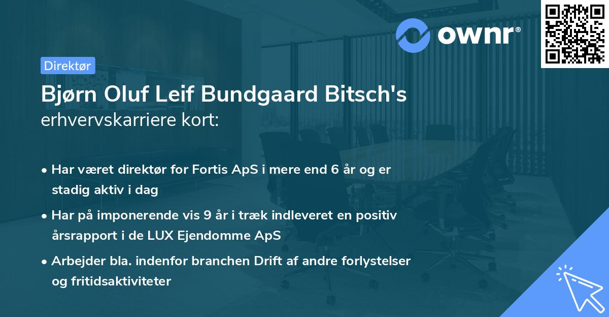 Bjørn Oluf Leif Bundgaard Bitsch's erhvervskarriere kort