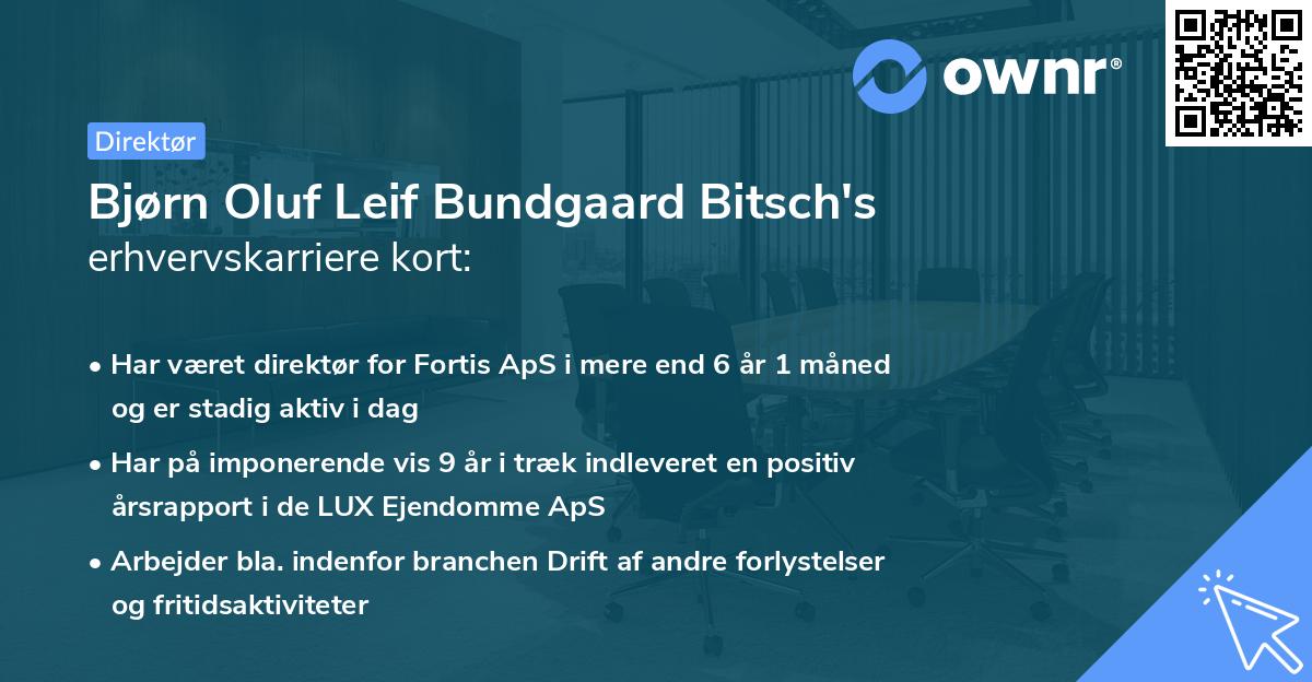 Bjørn Oluf Leif Bundgaard Bitsch's erhvervskarriere kort