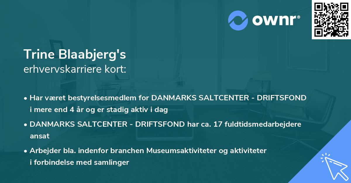 Trine Blaabjerg's erhvervskarriere kort