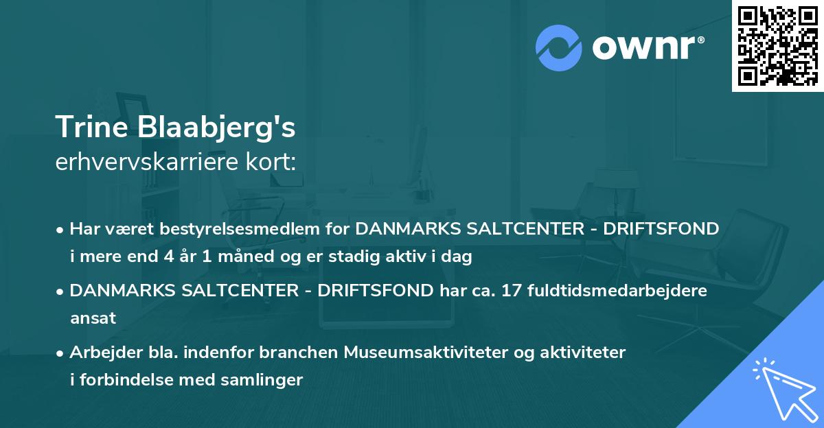 Trine Blaabjerg's erhvervskarriere kort