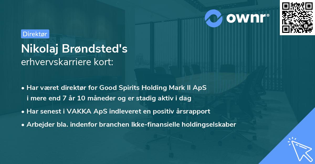 Nikolaj Brøndsted's erhvervskarriere kort
