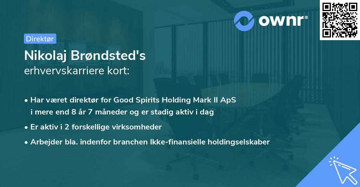 Nikolaj Brøndsted's erhvervskarriere kort