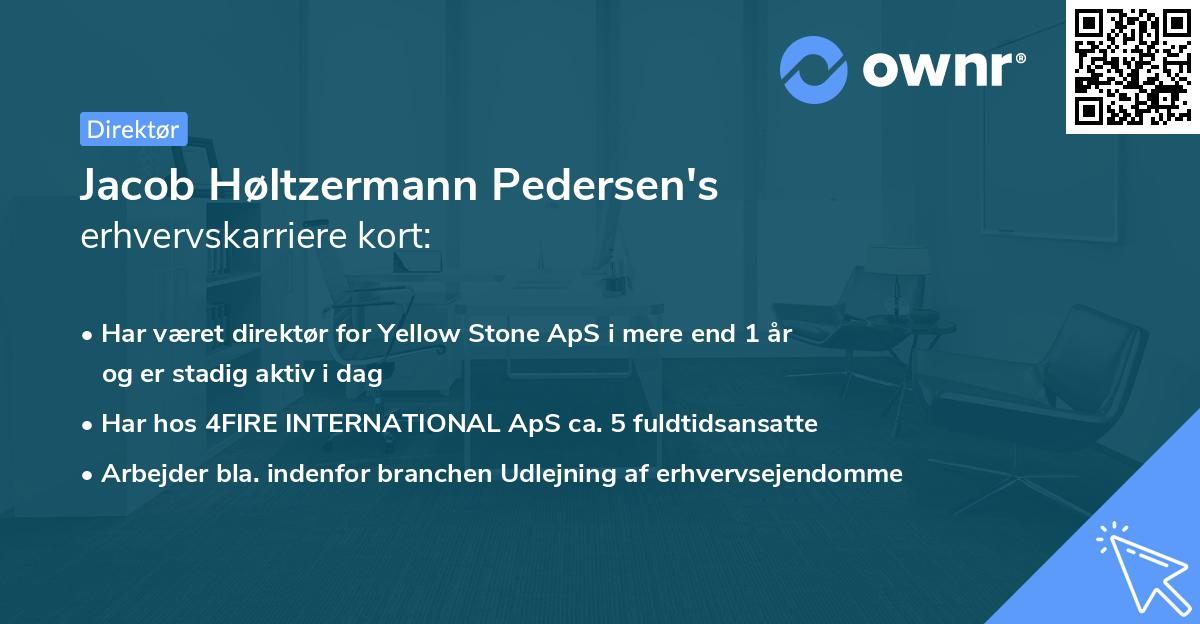 Jacob Høltzermann Pedersen's erhvervskarriere kort
