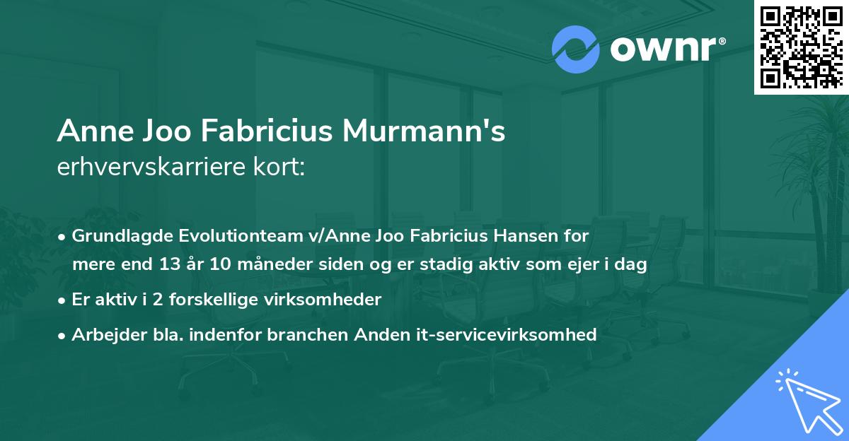 Anne Joo Fabricius Murmann's erhvervskarriere kort