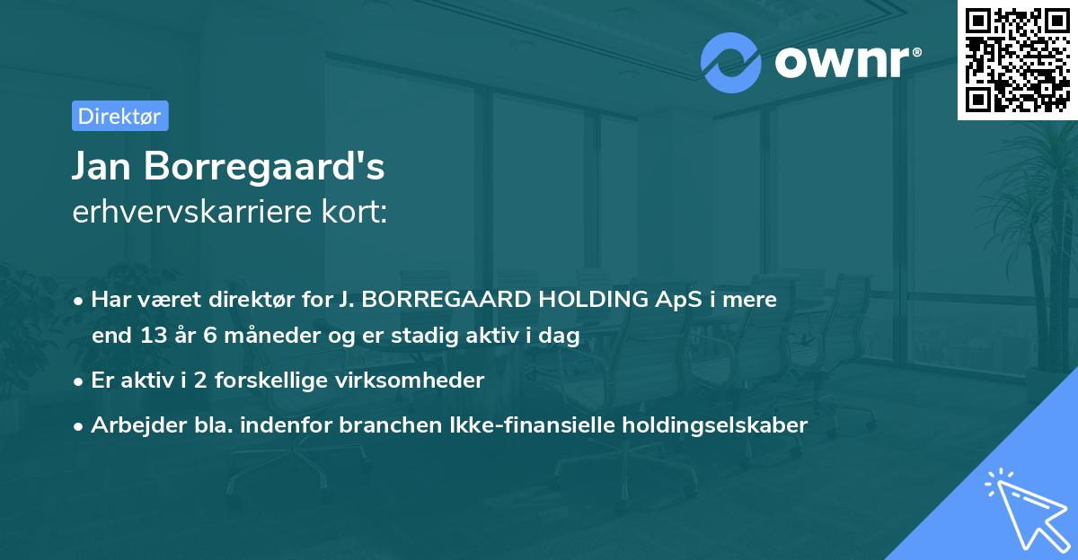 Jan Borregaard's erhvervskarriere kort